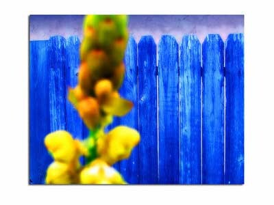 Digital Arts titled "Blue and Yellow" by David Wallace, Original Artwork