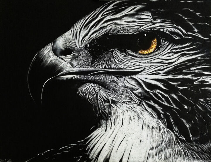Dessin intitulée "L’aigle" par David Da Costa, Œuvre d'art originale, Crayon