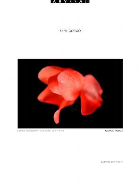 Photographie intitulée "Gorgo Rouge" par David Blandin, Œuvre d'art originale