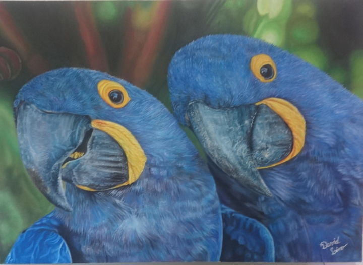 Pintura intitulada "Blue Arara" por David Lino, Obras de arte originais, Óleo