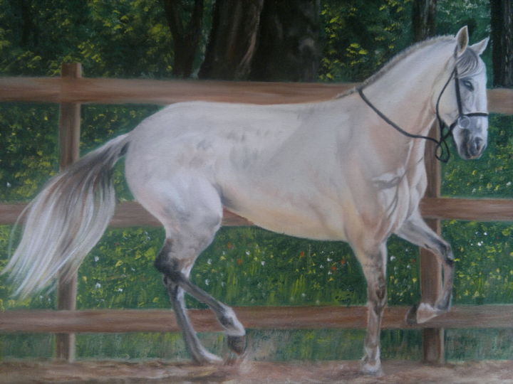 Painting titled "White Horse -  Oil…" by David Lino, Original Artwork, Oil