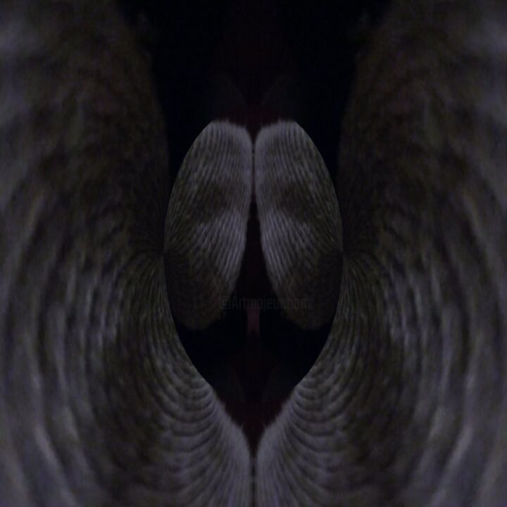 Photographie intitulée "Angel wings" par Dawn Mccutcheon, Œuvre d'art originale, Photographie numérique