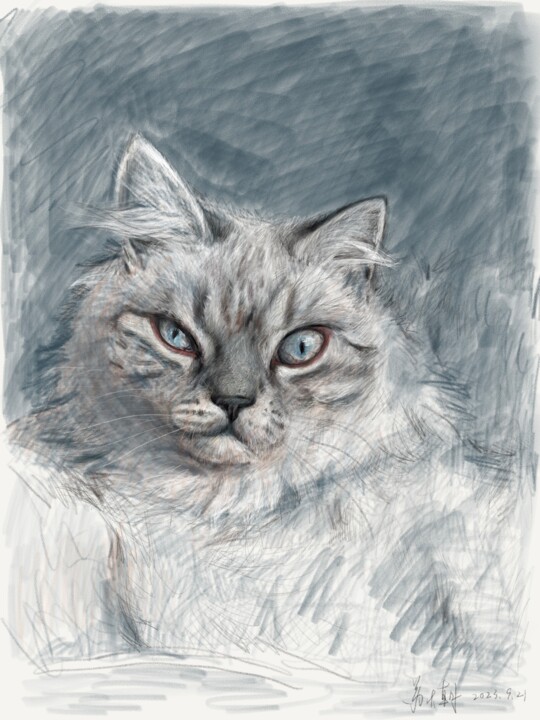 Digitale Kunst mit dem Titel "Angry cat" von Dazhao Su, Original-Kunstwerk, Digitale Malerei