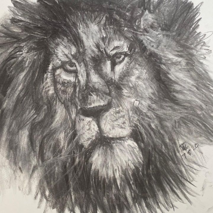 Drawing titled "Head of a Lion" by Digby Chacksfield, Original Art, Charcoal