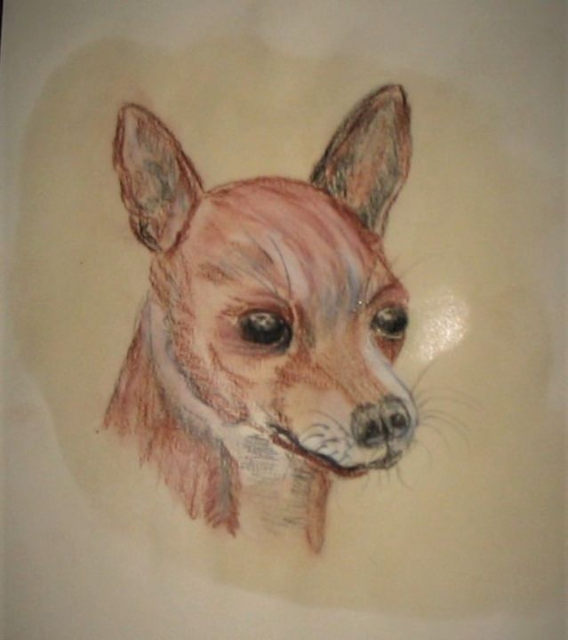 Rysunek zatytułowany „Chihuahua” autorstwa Mars-Art, Oryginalna praca, Kreda