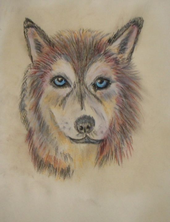 Drawing titled "Husky" by Mars-Art, Original Artwork, Chalk