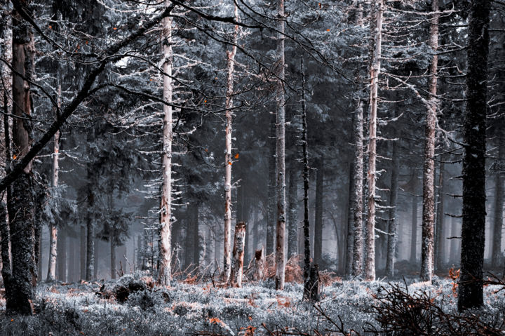 Photographie intitulée "Lost Space" par Matthieu Debano, Œuvre d'art originale, Photographie numérique