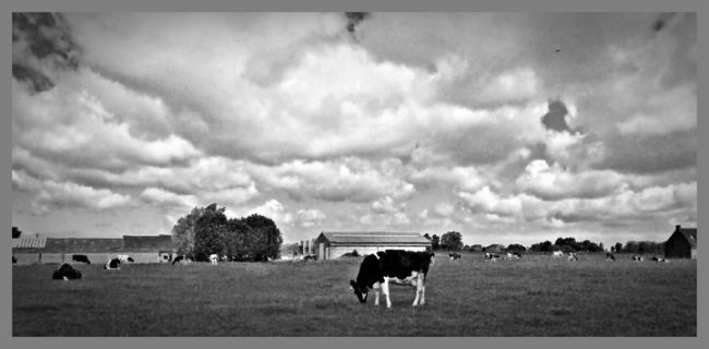 Photography titled "In Flanders Fields" by Deboknol, Original Artwork