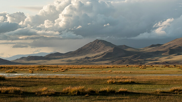 Fotografía titulada "TIMELESS LAND" por Debra Garside, Obra de arte original, Fotografía digital