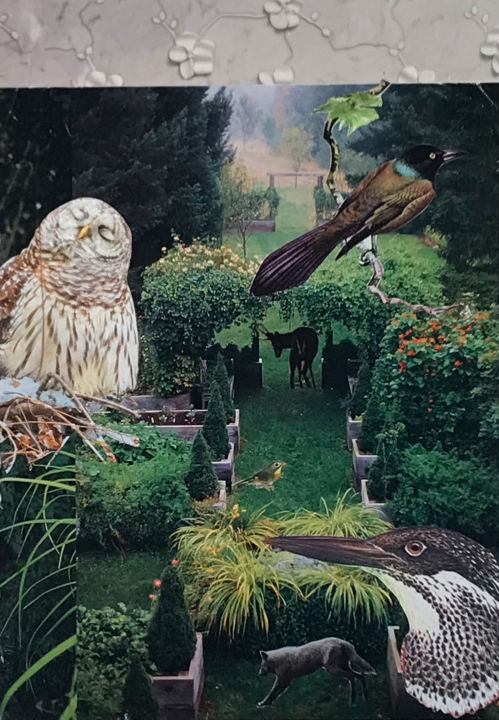Collages intitulée "In the Garden" par Debra Rogers, Œuvre d'art originale, Collages