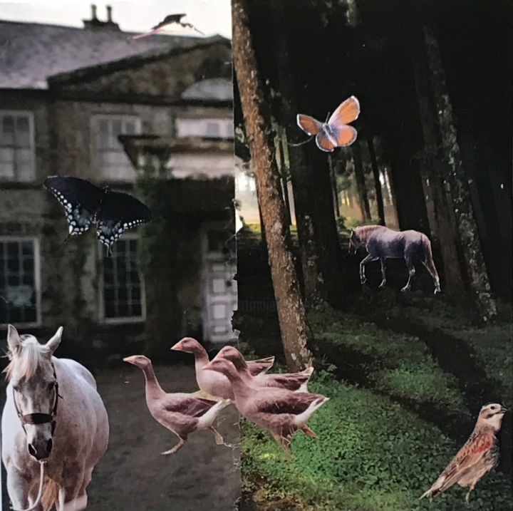 Collages getiteld "House On the Wood" door Debra Rogers, Origineel Kunstwerk, Collages
