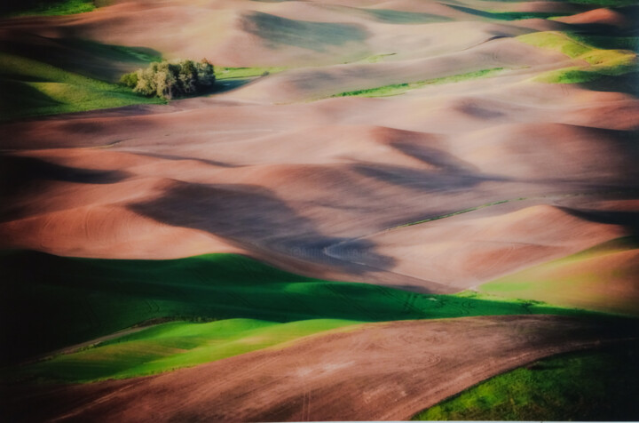 Photographie intitulée "Palouse Landscape" par Decesare, Œuvre d'art originale, Photographie numérique