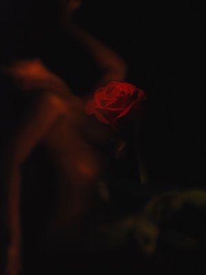Zapping III - Photography ©2009 by Bogdan Ater -
art contemporary nudes feminine women photography erotic