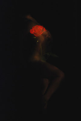 Zapping IV - Photography ©2009 by Bogdan Ater -
art contemporary nudes feminine women photography erotic