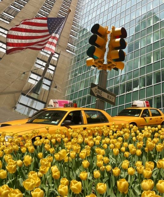 Photographie intitulée "New York : Light Jo…" par Karel De Gendre, Œuvre d'art originale