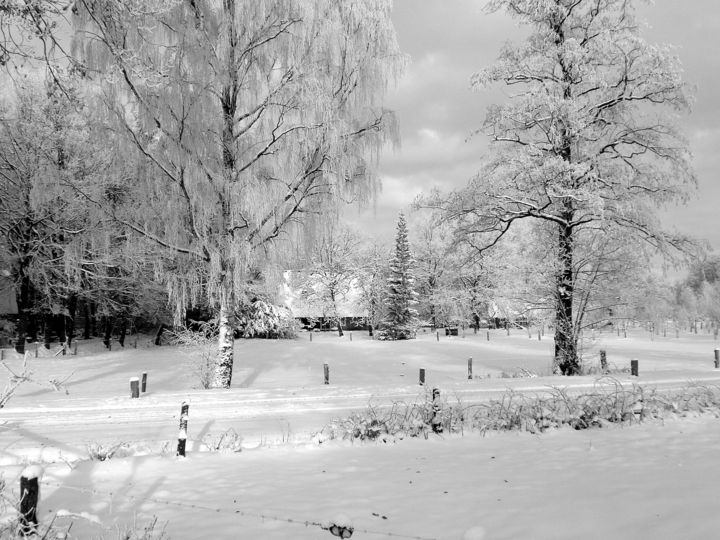 Fotografie getiteld "winter." door Thea De Gier, Origineel Kunstwerk