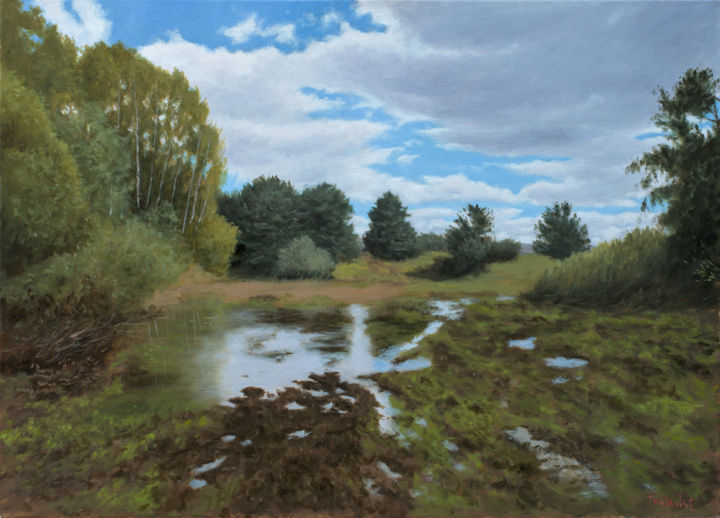 Painting titled "Peat Bog" by Dejan Trajkovic, Original Art, Oil