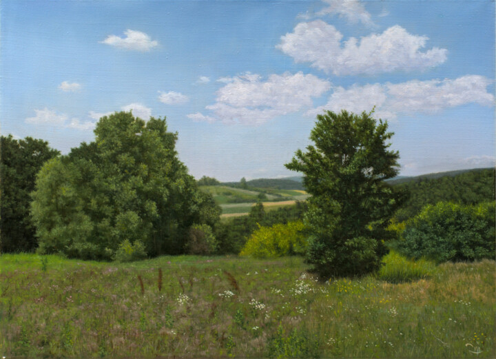 Pittura intitolato "The Meadow in the S…" da Dejan Trajkovic, Opera d'arte originale, Olio