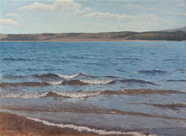 Painting titled "Waves" by Dejan Trajkovic, Original Artwork, Oil