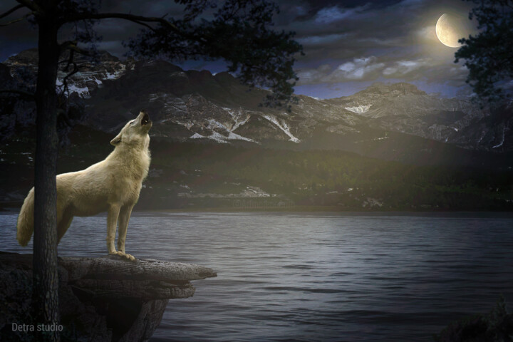 Photographie intitulée "White wolf howling" par Dejan Travica, Œuvre d'art originale, Photographie manipulée