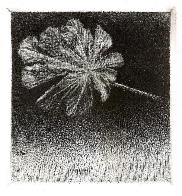 Desenho intitulada "Herbario_1-Henry_Vi…" por Del Quindío, Obras de arte originais