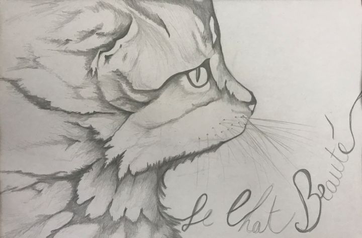 Drawing titled "Le chat beauté" by Sego, Original Artwork, Pencil