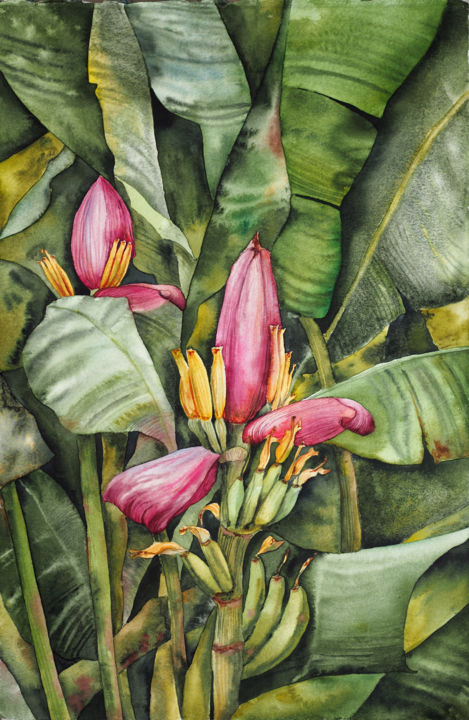Painting titled "Banana flower" by Delnara El, Original Artwork, Watercolor
