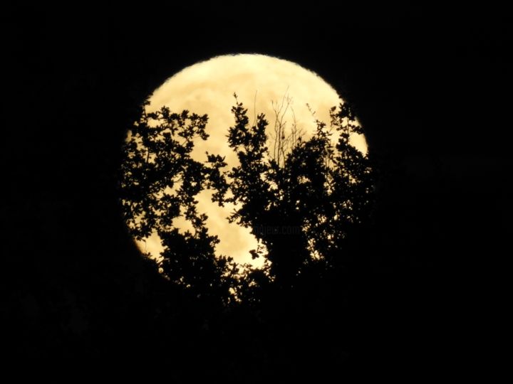 Photographie intitulée "Pleine lune" par Delphine Fabregat, Œuvre d'art originale, Photographie numérique