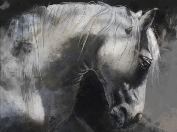 Digital Arts titled "Cheval2" by Delphine Pellizzer, Original Artwork, Digital Painting