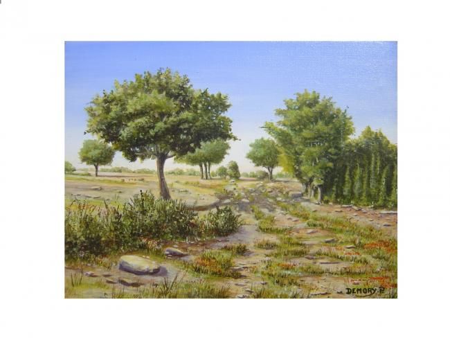 Painting titled "Les garrigues" by Philippe Demory, Original Artwork, Other