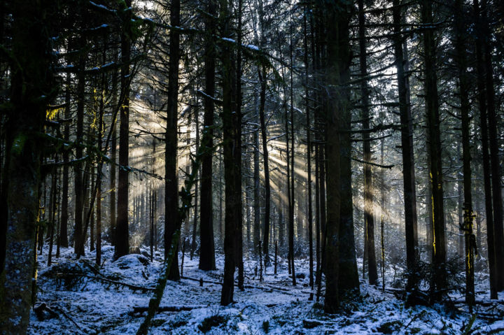 Photographie intitulée "Rayonnement" par Fender Photographie, Œuvre d'art originale