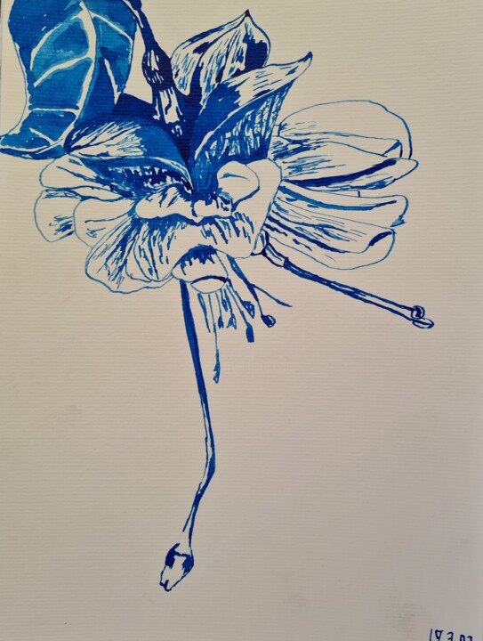 Zeichnungen mit dem Titel "Die blaue Blume" von Denis Dolheimer, Original-Kunstwerk, Tinte
