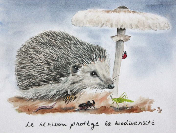 Peinture intitulée "Le hérisson protège…" par Emilie Denis, Œuvre d'art originale, Aquarelle