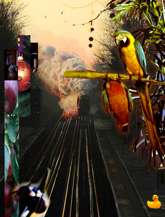 Arte digitale intitolato "Train Canard" da Denis Reitz, Opera d'arte originale
