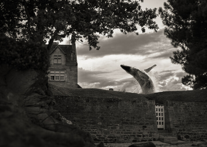 Fotografia intitolato "Whale" da Denis Sukhinin, Opera d'arte originale, Fotografia manipolata