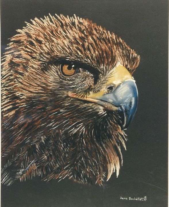 Zeichnungen mit dem Titel "aigle royal" von Denis Bachelet, Original-Kunstwerk, Pastell
