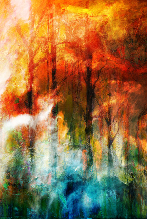 Photography titled "Forêt désanchantée" by Denis Drolet, Original Artwork