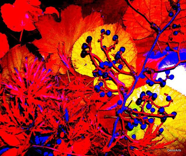 Digital Arts titled "Flora" by Denise Guilhaumon, Original Artwork, Digital Painting
