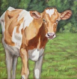 Painting titled ""Guernsey calf"" by Denise Rich, Original Artwork