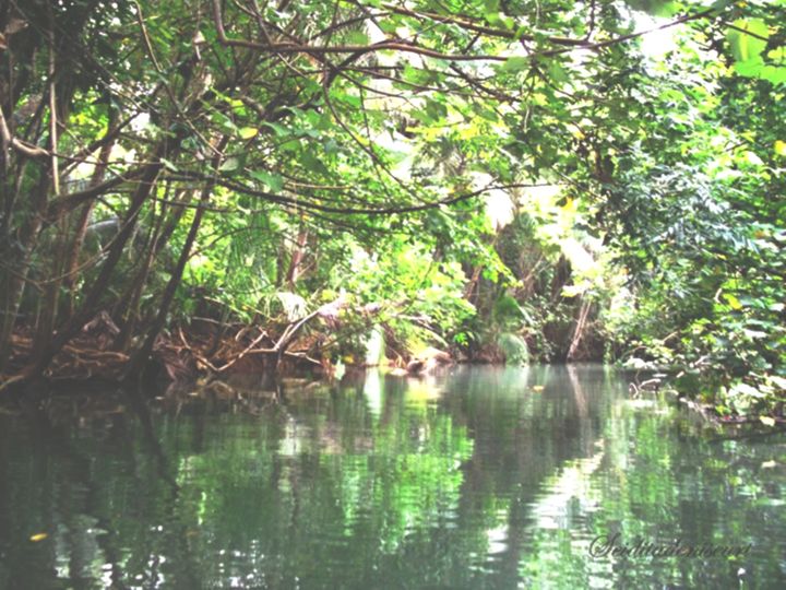 Photographie intitulée "La rivière boisée" par Seiditadeniseart, Œuvre d'art originale, Photographie numérique