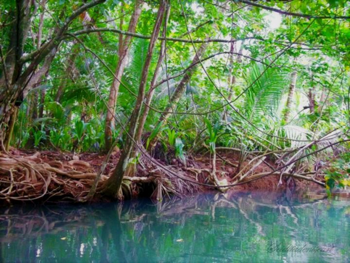 Fotografia intitulada "La rive boisée" por Seiditadeniseart, Obras de arte originais, Fotografia digital