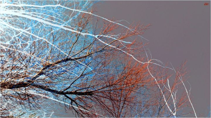 「Branches」というタイトルの写真撮影 Denise Arsac Coustoulinによって, オリジナルのアートワーク, 操作する