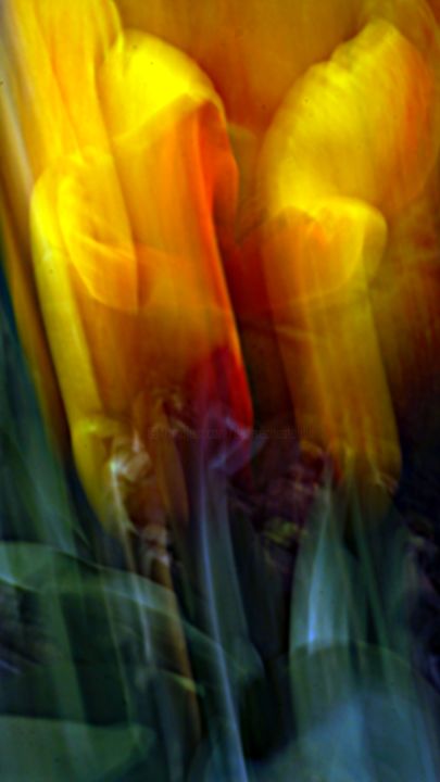 Photographie intitulée "fleurs 04" par Denise Arsac Coustoulin, Œuvre d'art originale, Photographie numérique