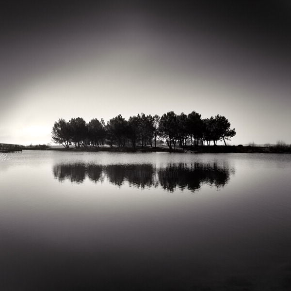 Photography titled "Reflecting Trees" by Denis Olivier, Original Artwork