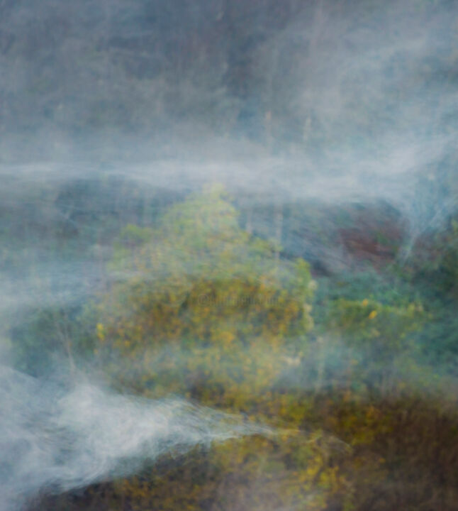 Photographie intitulée "Fog in the forest" par Marko Rupena, Œuvre d'art originale, Photographie numérique