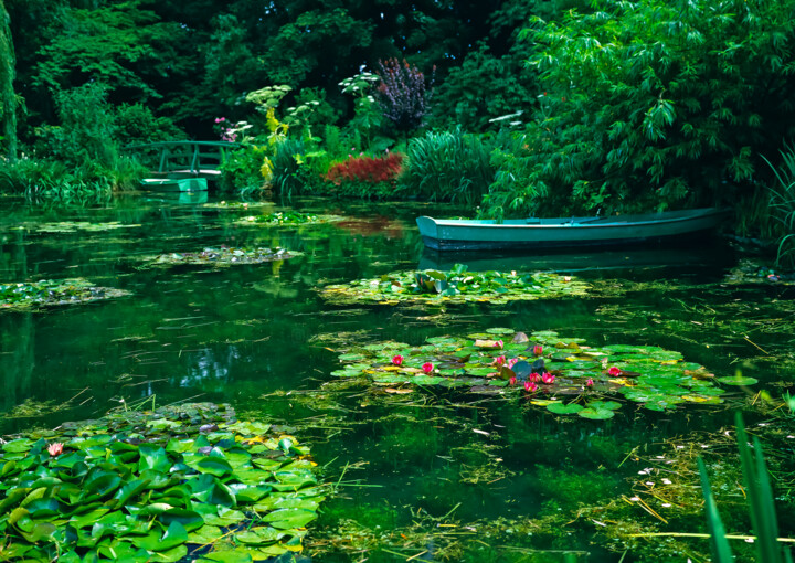 Digital Arts titled "The Lily Pond with…" by Derek Harris, Original Artwork, Non Manipulated Photography