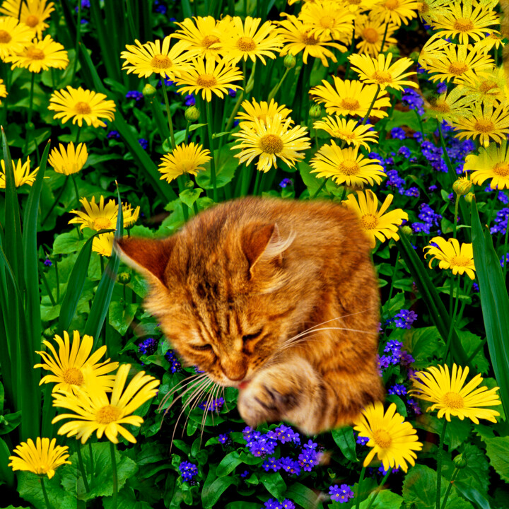 Fotografia intitulada "Cat in my Flower Ga…" por Derek Harris, Obras de arte originais, Fotografia Manipulada