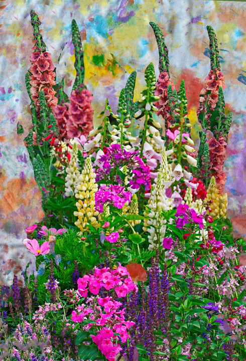 Photographie intitulée "Flower Border with…" par Derek Harris, Œuvre d'art originale, Photographie manipulée