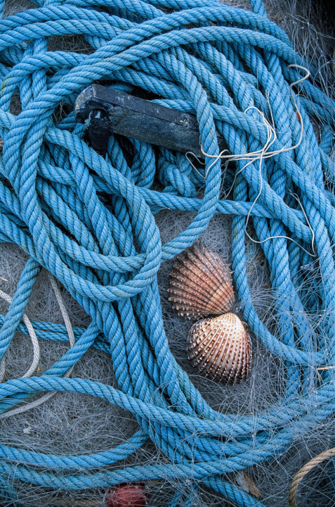 Fotografia intitulada "Seaside Detail Nets…" por Derek Harris, Obras de arte originais, Fotografia Não Manipulada