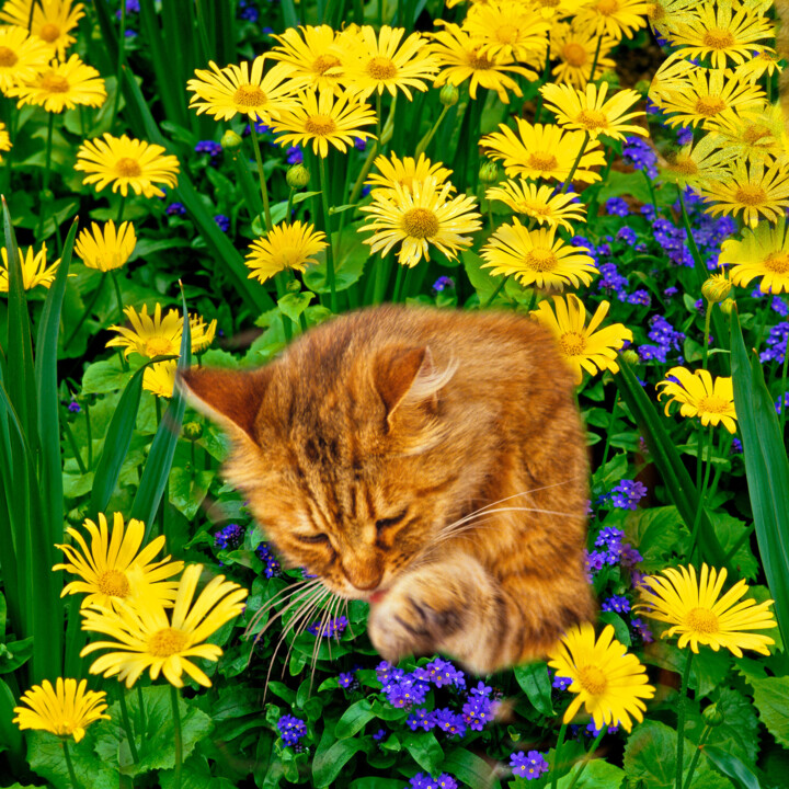 Fotografía titulada "Cat in my Garden 9" por Derek Harris, Obra de arte original, Fotografía manipulada